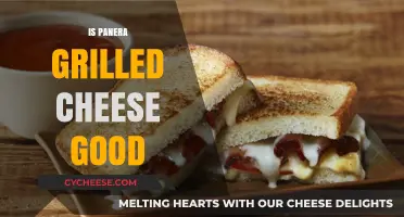 Is Panera's Grilled Cheese Worth the Hype? A Tasty Review