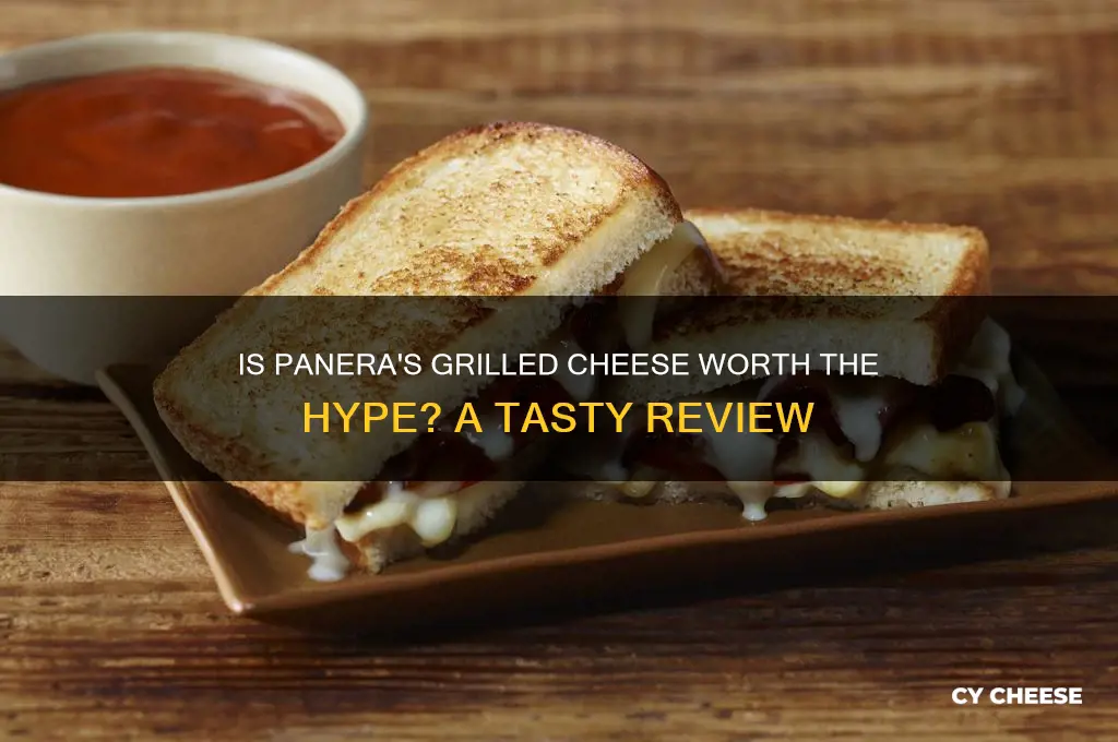 is panera grilled cheese good
