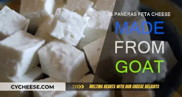 Is Panera's Feta Cheese Made from Goat? Unveiling the Mystery