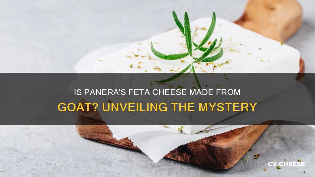 is paneras feta cheese made from goat