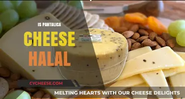 Is Pantalica Cheese Halal? Exploring Ingredients and Certification