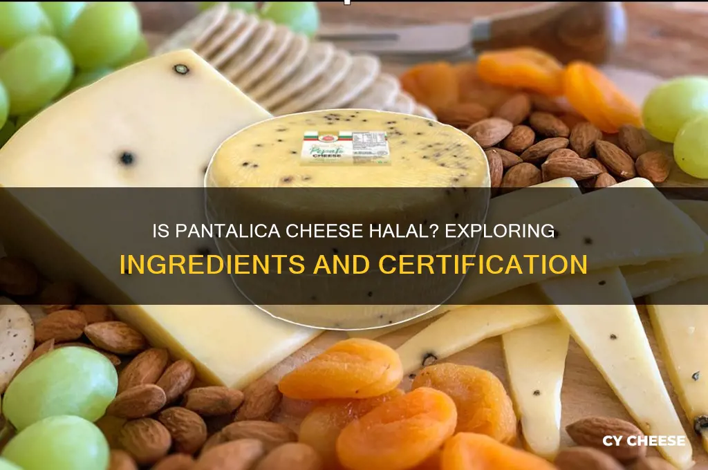 is pantalica cheese halal