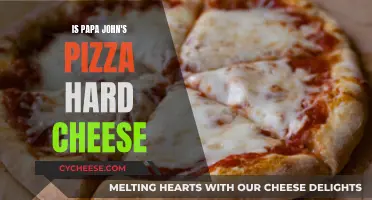 Papa John's Pizza: Hard Cheese or Soft Dough?