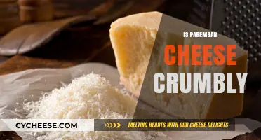 Is Parmesan Cheese Crumbly? Exploring Its Texture and Uses