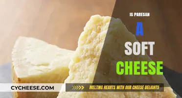 Is Paresan a Soft Cheese? Exploring Its Texture and Uses