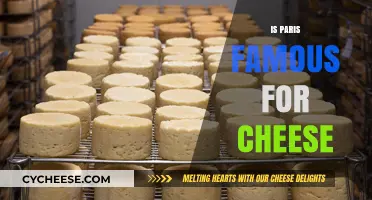 Is Paris Famous for Cheese? Exploring France's Culinary Icon