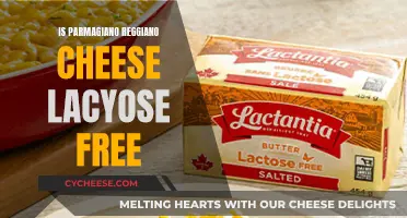 Parmigiano Reggiano: Lactose-Free Superfood?