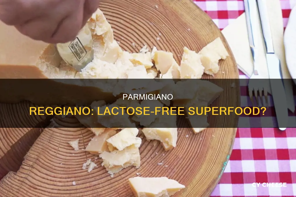 is parmagiano reggiano cheese lacyose free