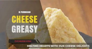 Is Parmesan Cheese Greasy? Debunking the Myth and Facts