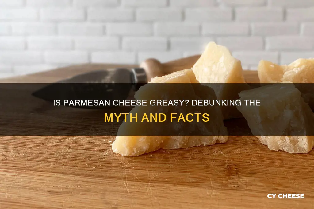 is parmasan cheese greasy