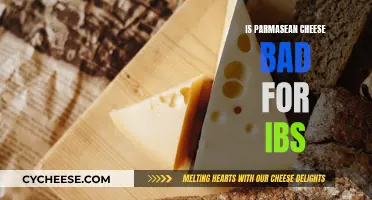 Parmesan Cheese and IBS: A Safe Snack?