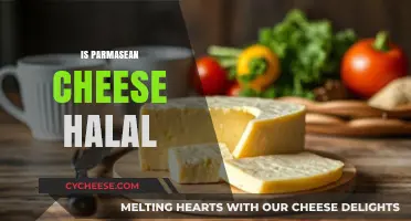 Is Parmesan Cheese Halal? Exploring Ingredients and Religious Dietary Laws
