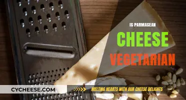 Is Parmesan Cheese Vegetarian? Uncovering the Truth Behind the Cheese