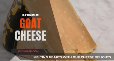 Parmesan Goat Cheese: A Cheesy Adventure