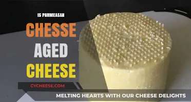 Is Parmesan Aged Cheese? Exploring Its Aging Process and Flavor