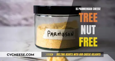 Parmesan Cheese: Nut-Free or Not?