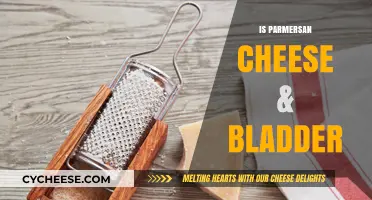 Parmesan Cheese and Bladder Health: Unraveling the Surprising Connection
