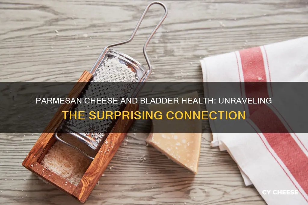 is parmersan cheese & bladder