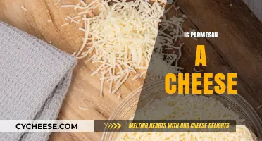 Parmesan: Cheese or Not?