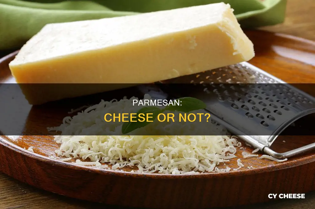 is parmesan a cheese