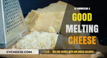 Does Parmesan Melt Well? Exploring Its Melting Cheese Potential