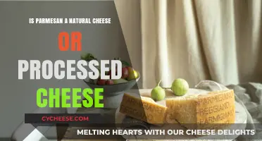 Parmesan Cheese: Natural or Processed?