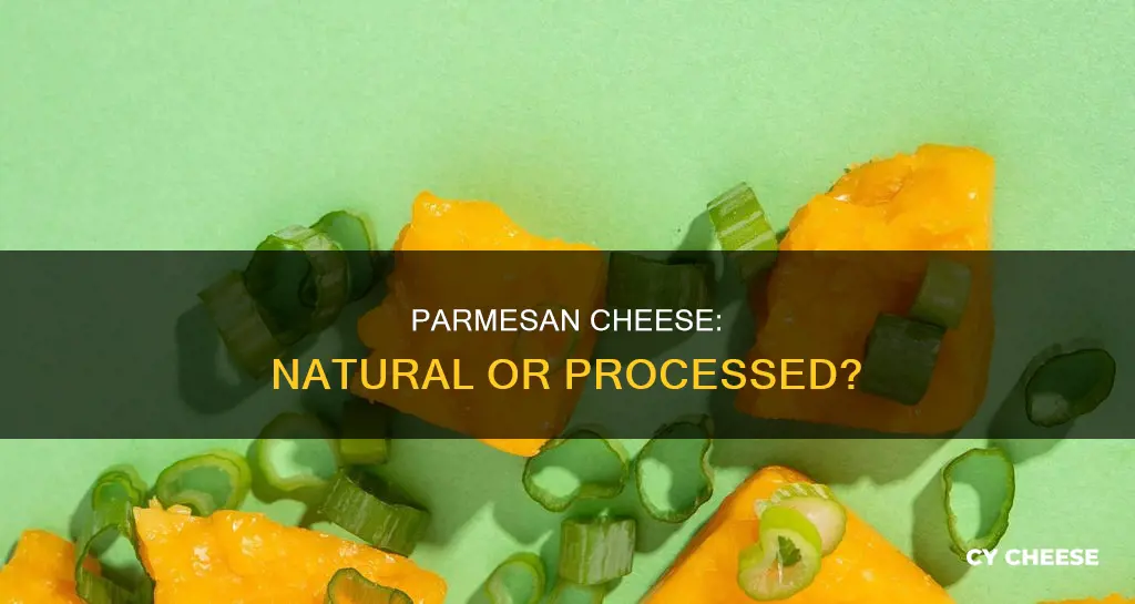 is parmesan a natural cheese or processed cheese