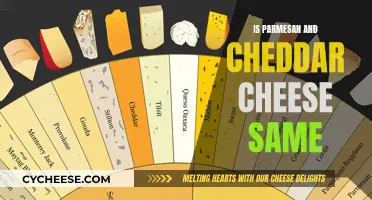 Unraveling the Mystery: Are Parmesan and Cheddar the Same?