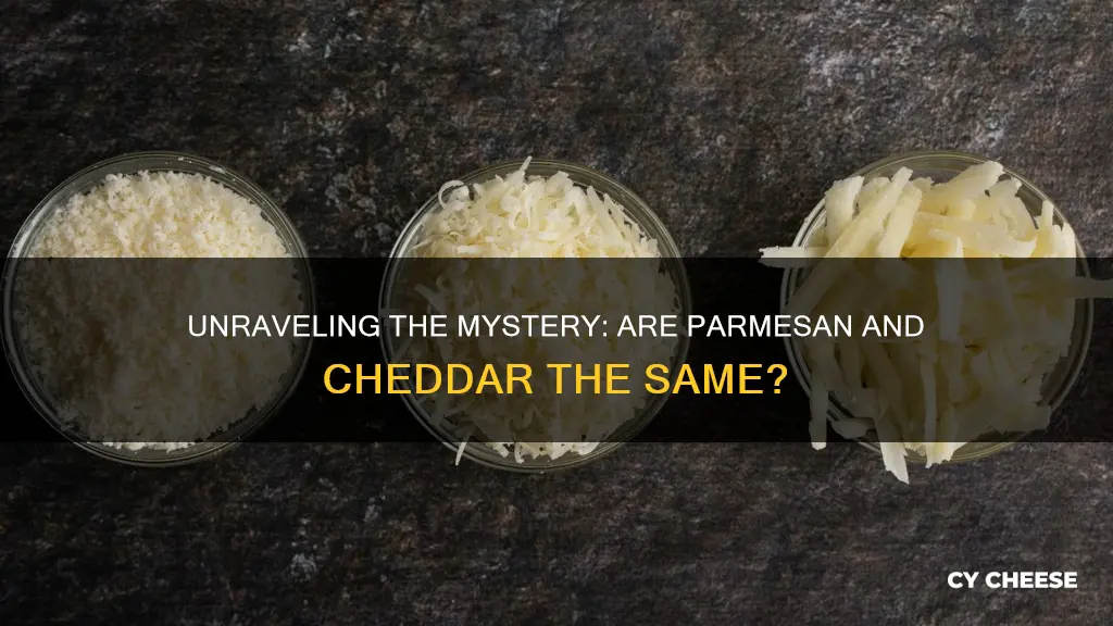 is parmesan and cheddar cheese same