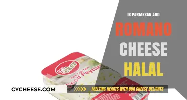 Understanding Halal: Parmesan and Romano Cheese