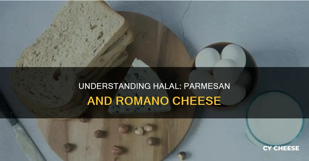 is parmesan and romano cheese halal