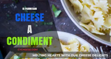 Parmesan Cheese: Condiment or Not?