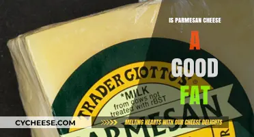 Is Parmesan Cheese a Healthy Fat Source? Nutrition Facts Revealed