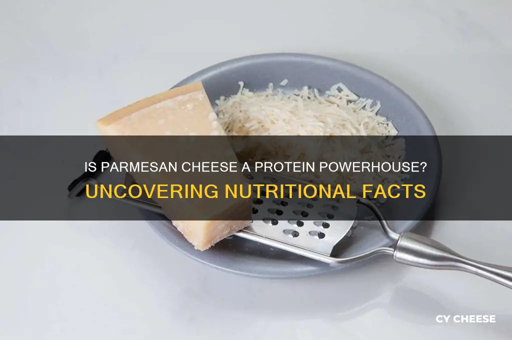 is parmesan cheese a good source of protein