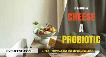 Parmesan Cheese: A Natural Probiotic?