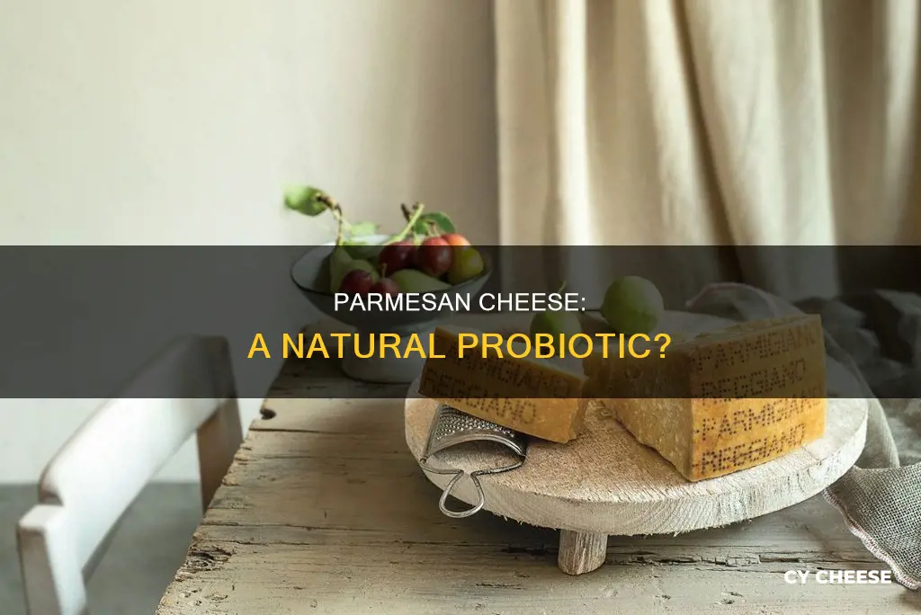 is parmesan cheese a probiotic