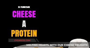 Is Parmesan Cheese a Good Source of Protein?