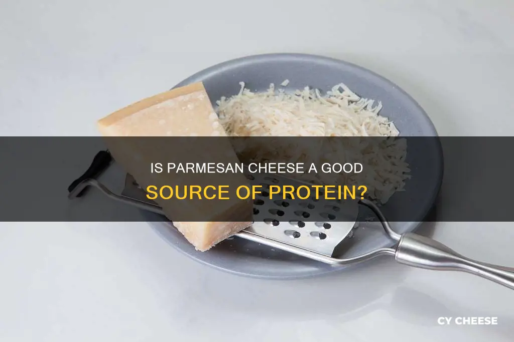 is parmesan cheese a protein