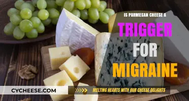 Parmesan Cheese: A Migraine Trigger?