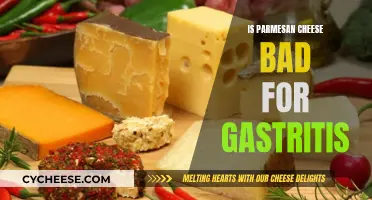 Parmesan Cheese and Gastritis: A Safe Combo?