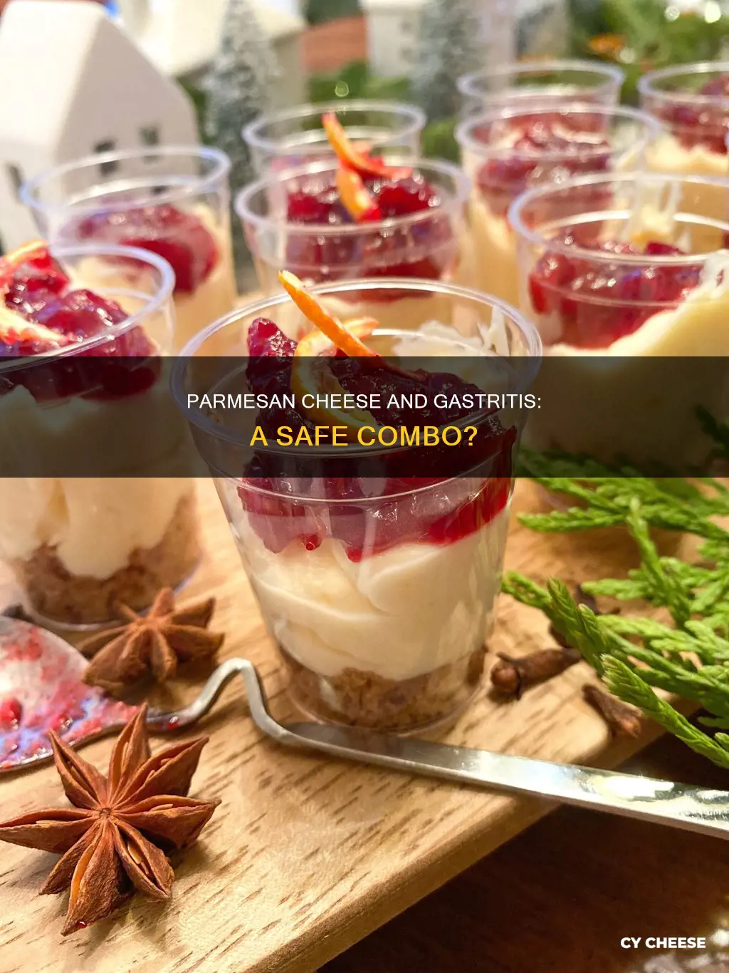 is parmesan cheese bad for gastritis