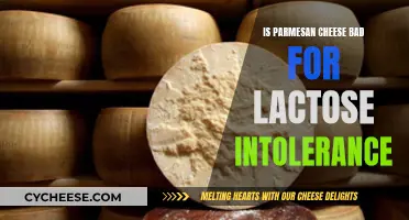 Parmesan Cheese: Friend or Foe for Lactose Intolerance?