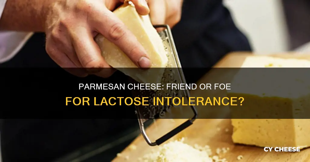 is parmesan cheese bad for lactose intolerance