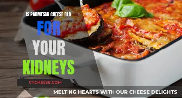 Parmesan and Kidney Health: What's the Link?