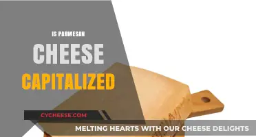 The Great Capitalization Debate: Parmesan Cheese Edition