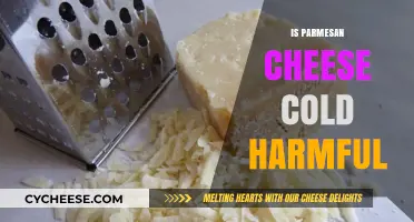 Parmesan Cheese Left Out: Is It Safe to Eat?