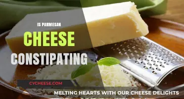 Parmesan Cheese: Friend or Foe for Constipation?