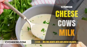 Parmesan Cheese: Cow's Milk Masterpiece?