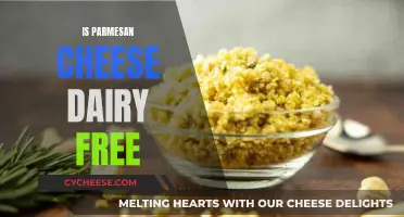 Parmesan Cheese: A Dairy-Free Option?