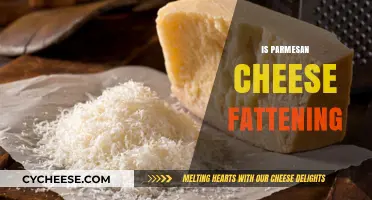Parmesan Cheese: Fattening or Healthy?